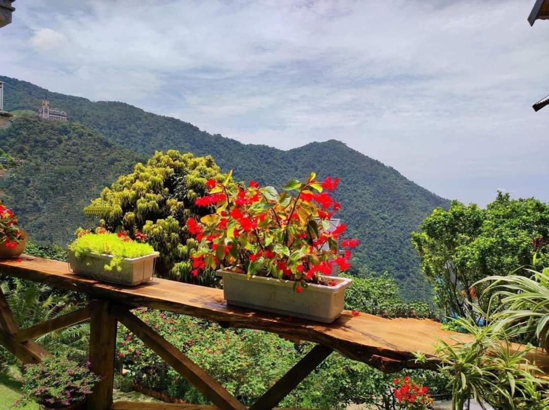 Tam Ðảo Mimosa Villa المظهر الخارجي الصورة